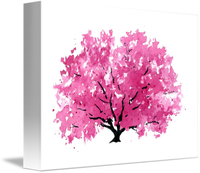 Pink Magnolia Watercolor Artwork PNG Image