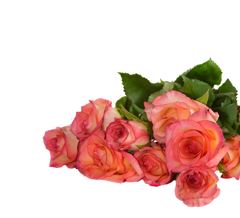 Pink Orange Roses Bouquet PNG Image