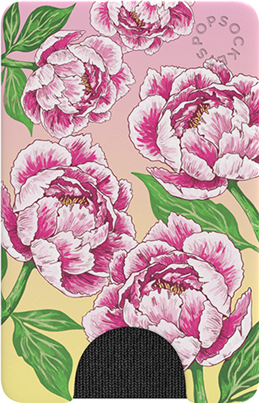 Pink Peony Illustration PNG Image