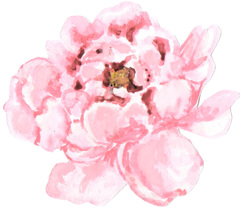 Pink Peony Watercolor Art PNG Image