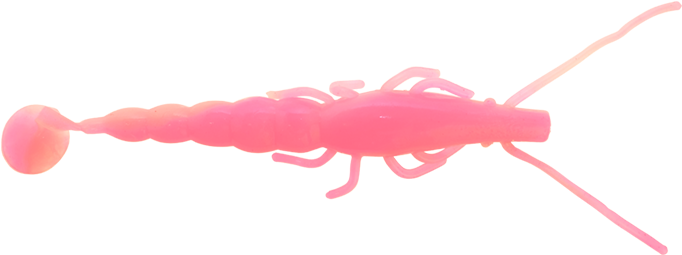 Pink Prawn Transparent Background PNG Image