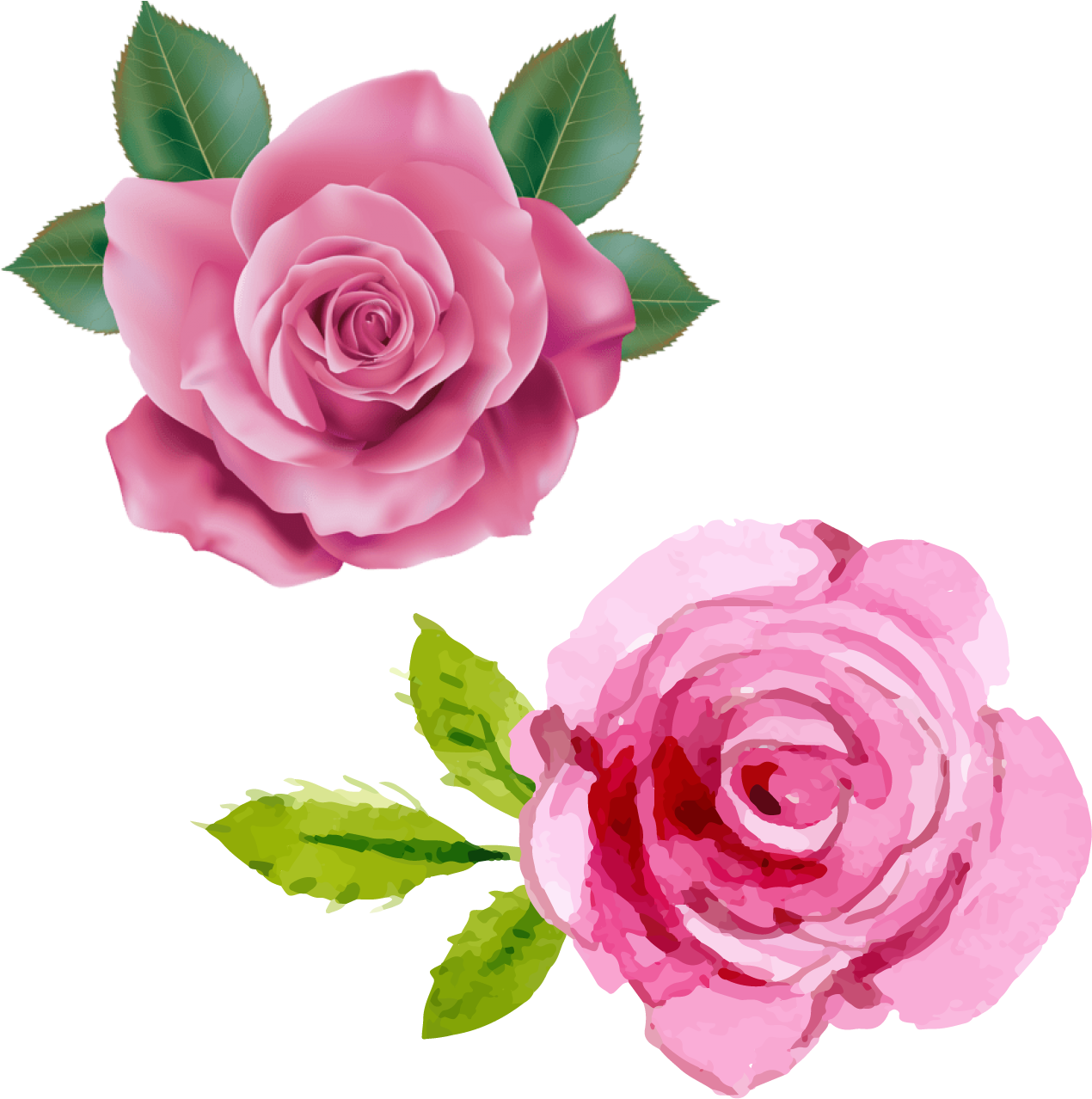 Pink Rose Duo Illustration PNG Image