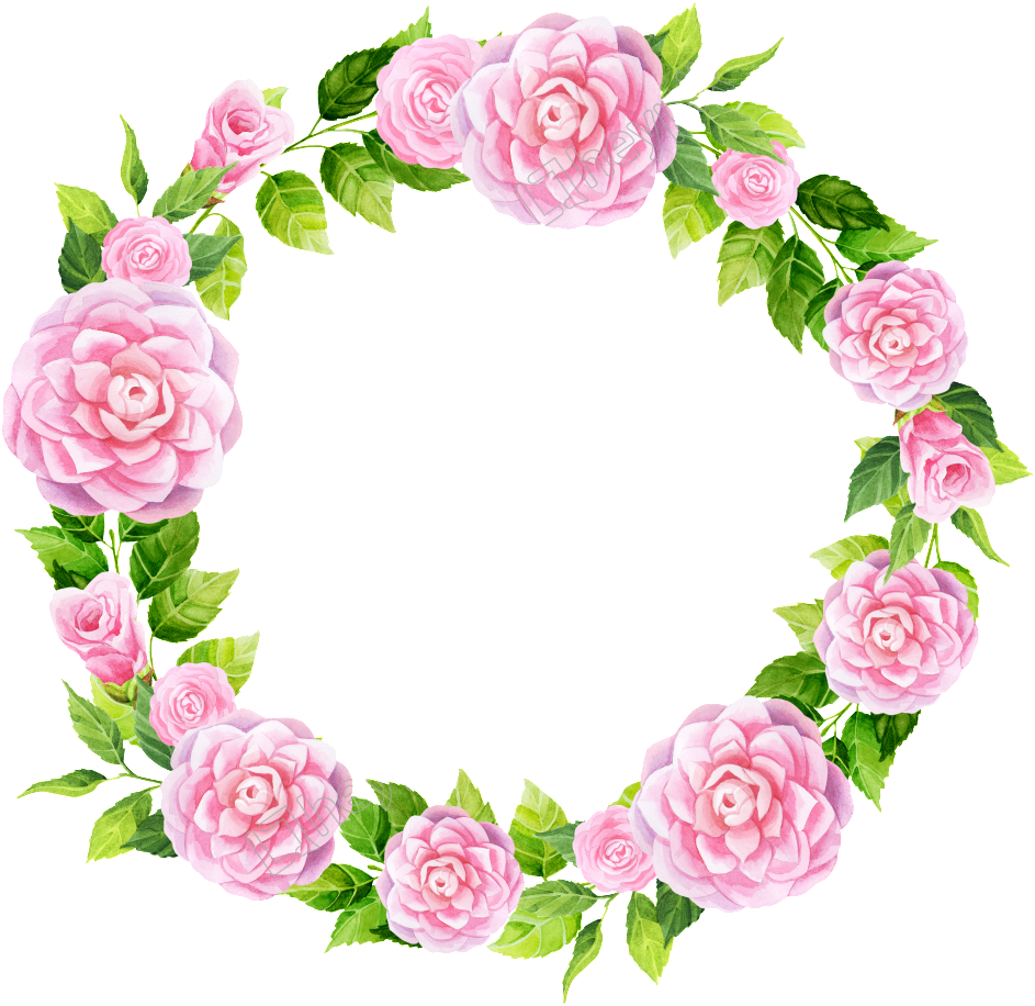 Pink Rose Floral Frame PNG Image