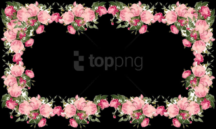 Pink Rose Frame Black Background PNG Image