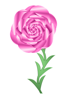 Pink Rose Graphic Art PNG Image