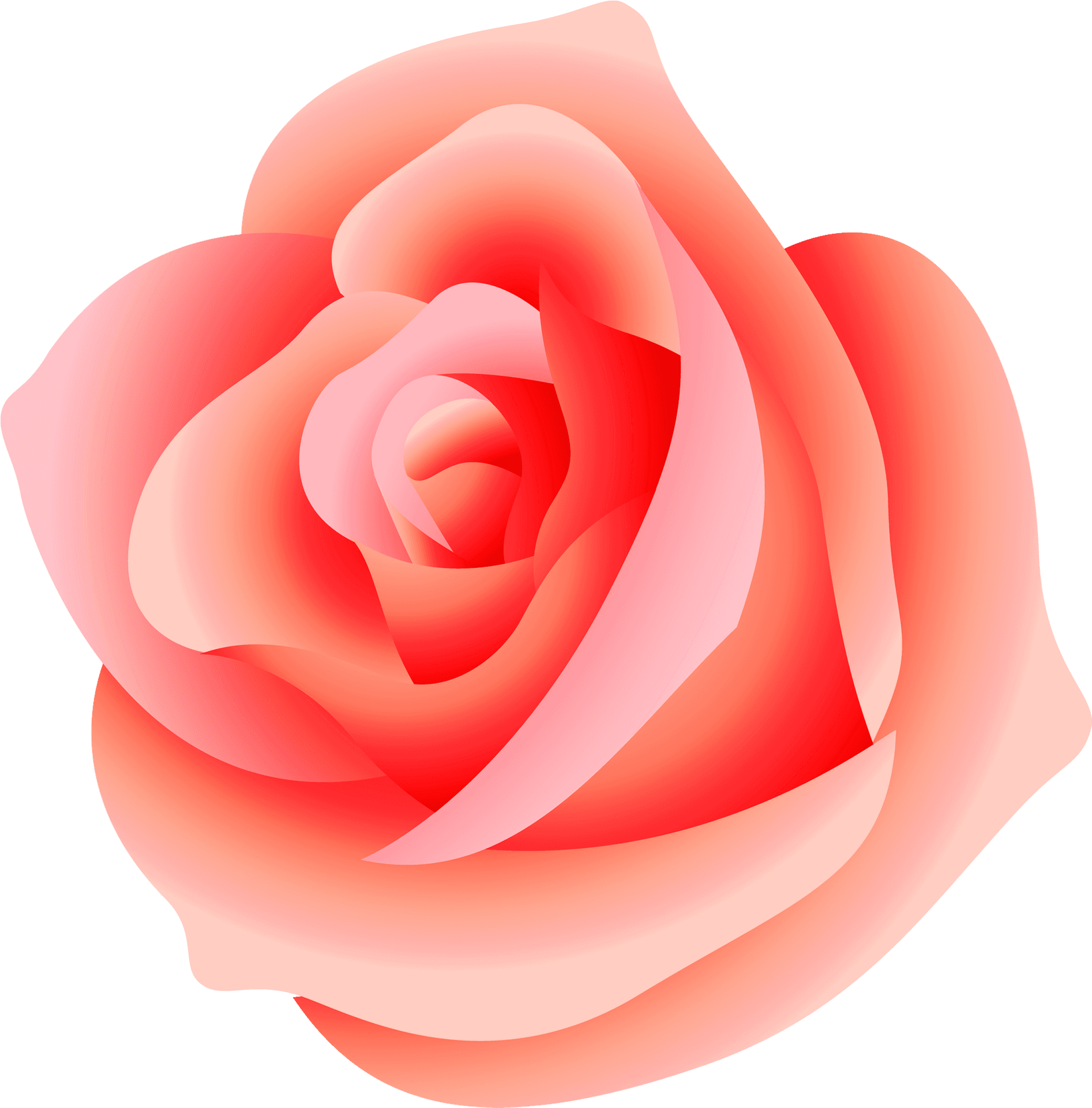 Pink Rose Vector Illustration PNG Image