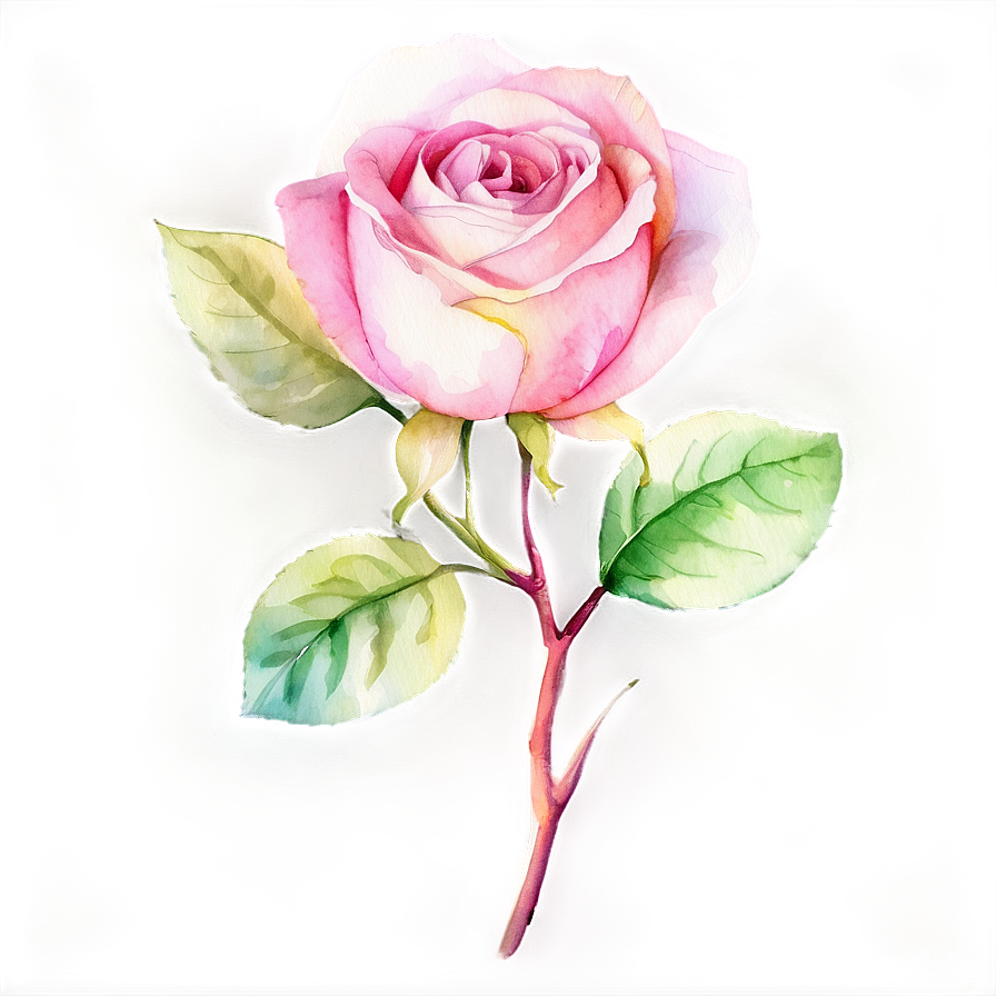 Pink Rose Watercolor Png Eot69 PNG Image