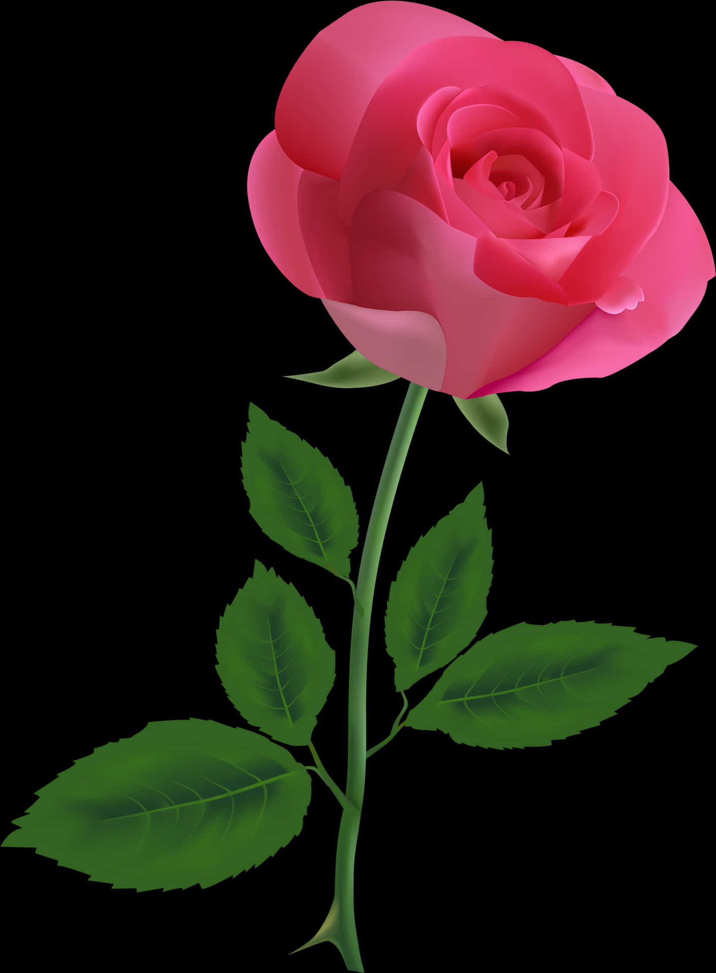 Pink Roseon Black Background PNG Image