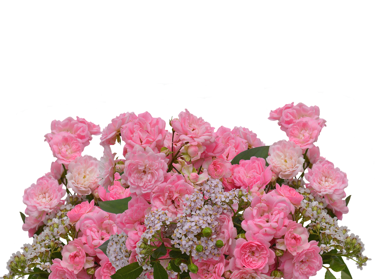 Pink Roses Bouquet Black Background PNG Image