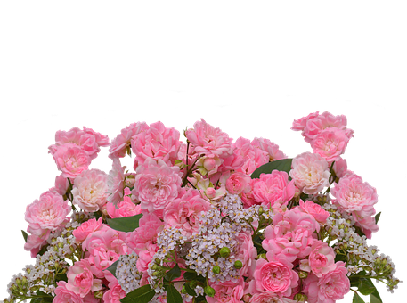 Pink Roses Bouquet Black Background PNG Image