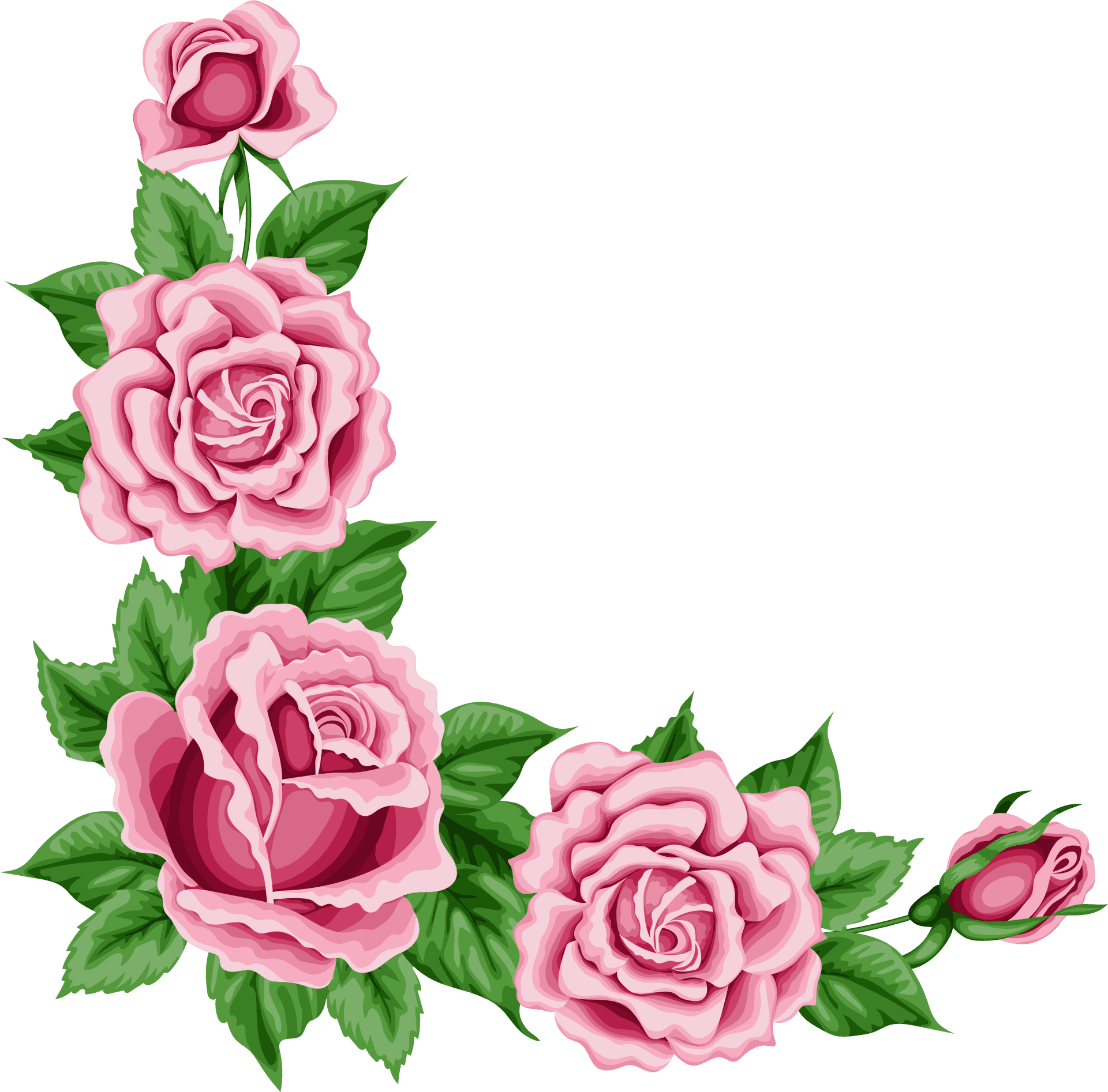 Pink Roses Corner Design PNG Image