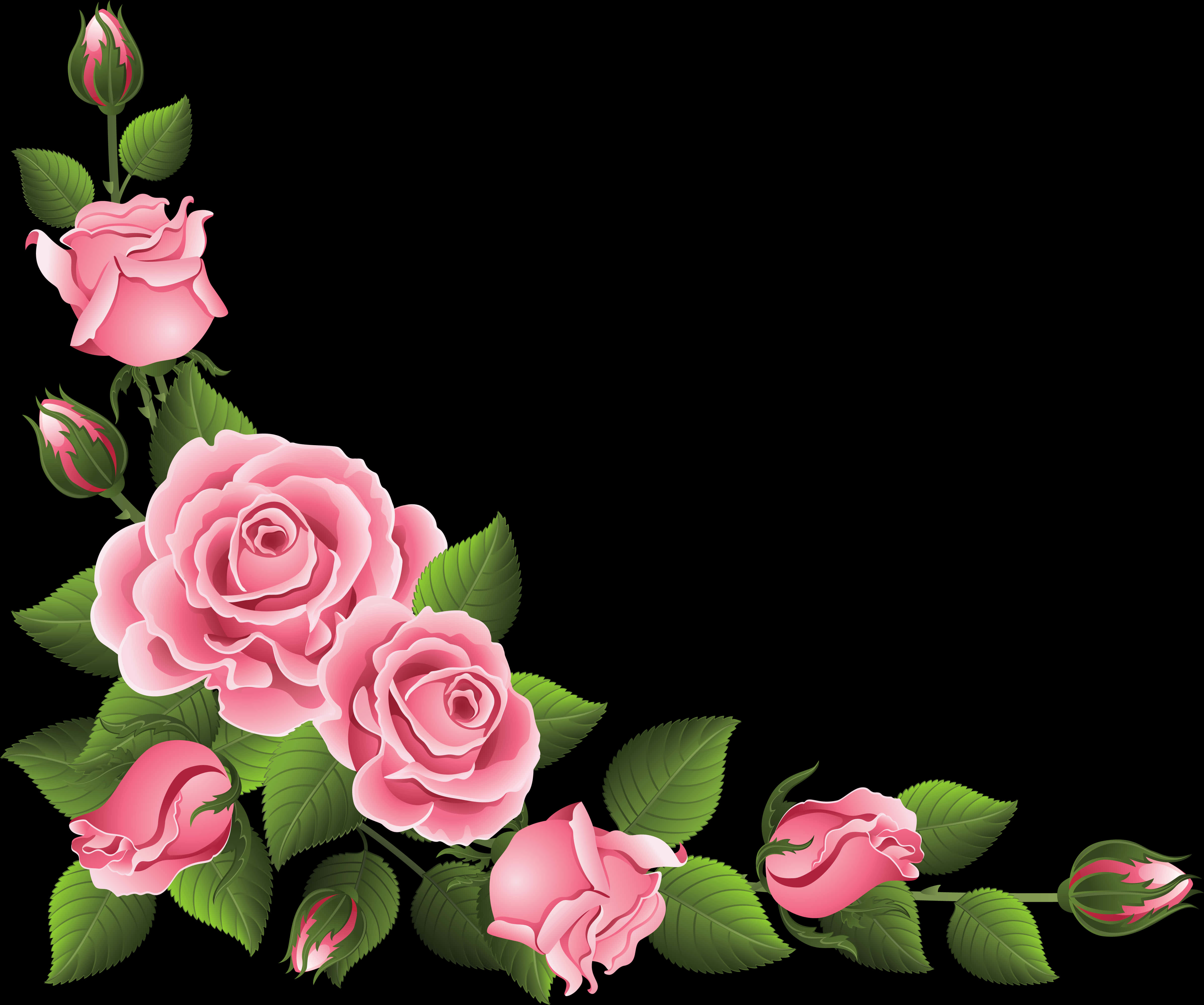 Pink Roses Floral Border Design PNG Image