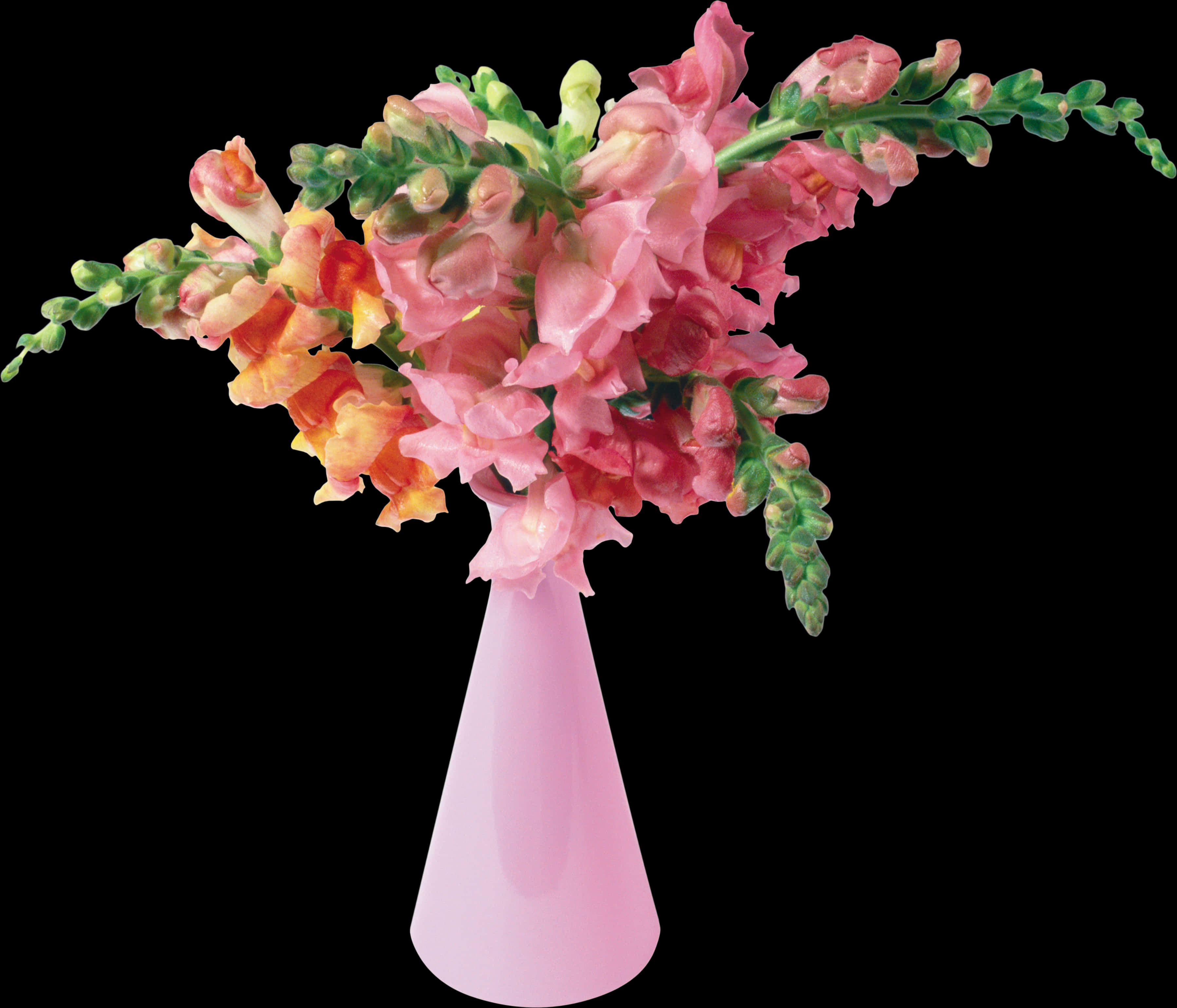 Pink Snapdragon Bouquetin Vase PNG Image