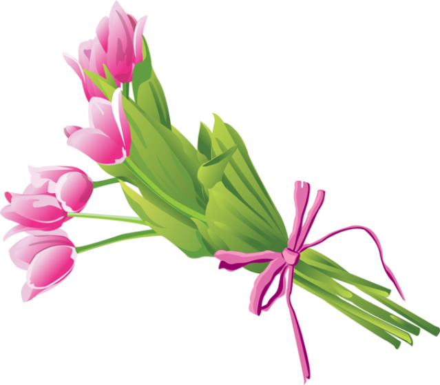 Pink Tulip Bouquet Illustration PNG Image