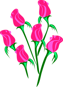 Pink Vector Roseson Black Background PNG Image