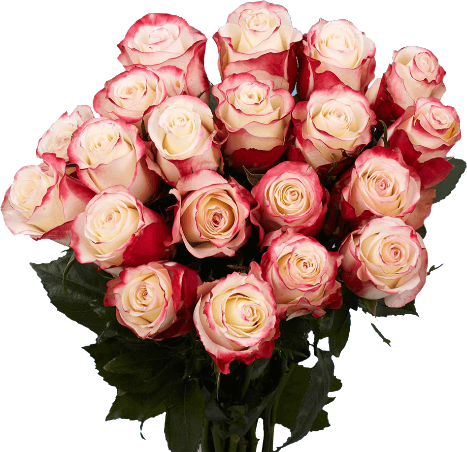 Pink White Rose Bouquet Birthday Flowers PNG Image