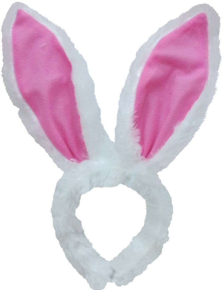 Pinkand White Bunny Ears Headband.png PNG Image