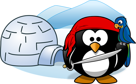 Pirate Penguinwith Treasure Igloo PNG Image