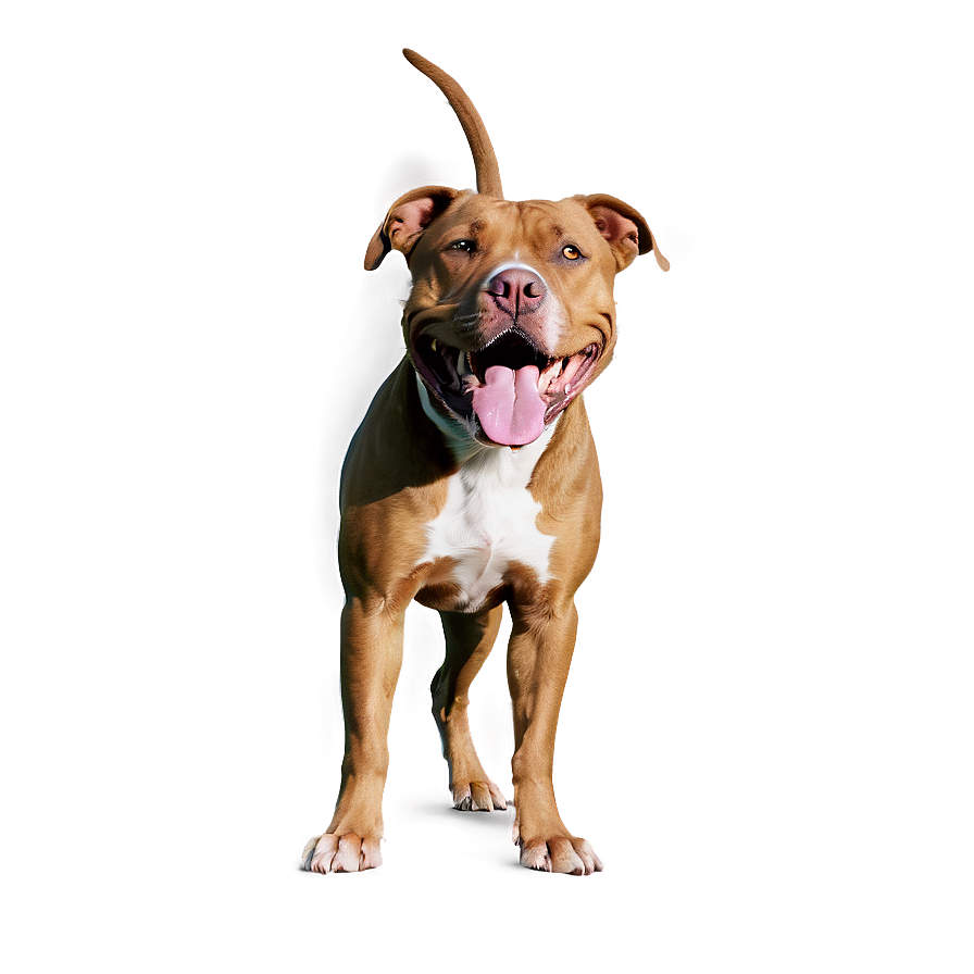 Pitbull In Park Png 05212024 PNG Image