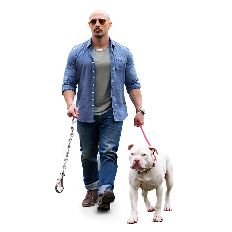 Pitbull Leash Walk Png 70 PNG Image