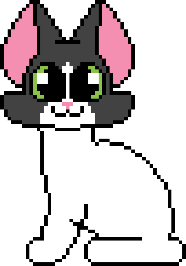 Pixelated Black Cat Meme PNG Image