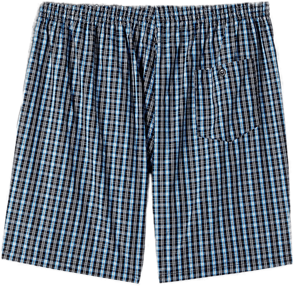 Plaid Boxer Shorts PNG Image