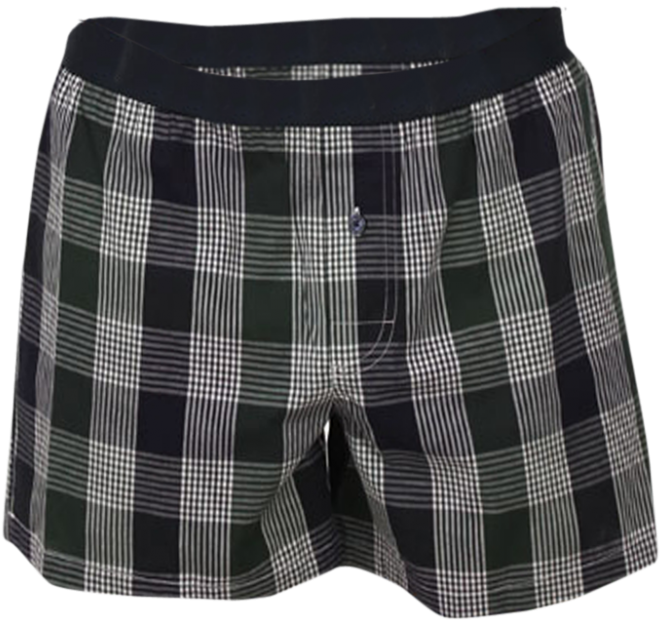 Plaid Mens Boxer Shorts PNG Image