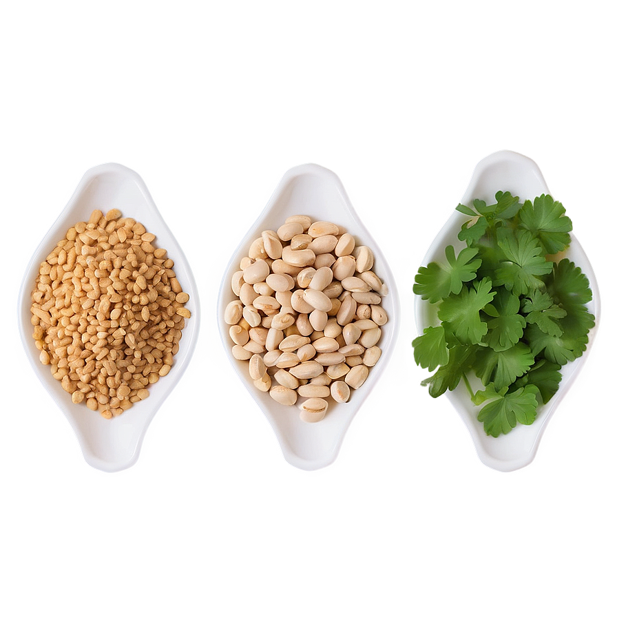 Plant-based Protein Sources Png Vne59 PNG Image