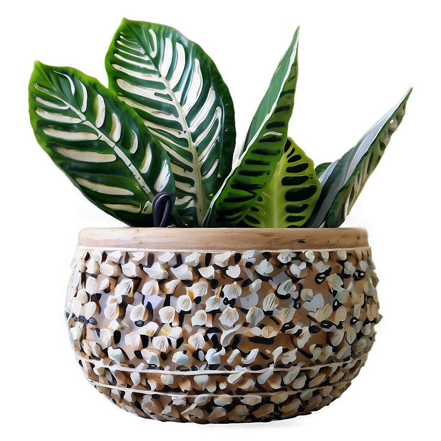 Plant-inspired Home Decor Png Yyo11 PNG Image