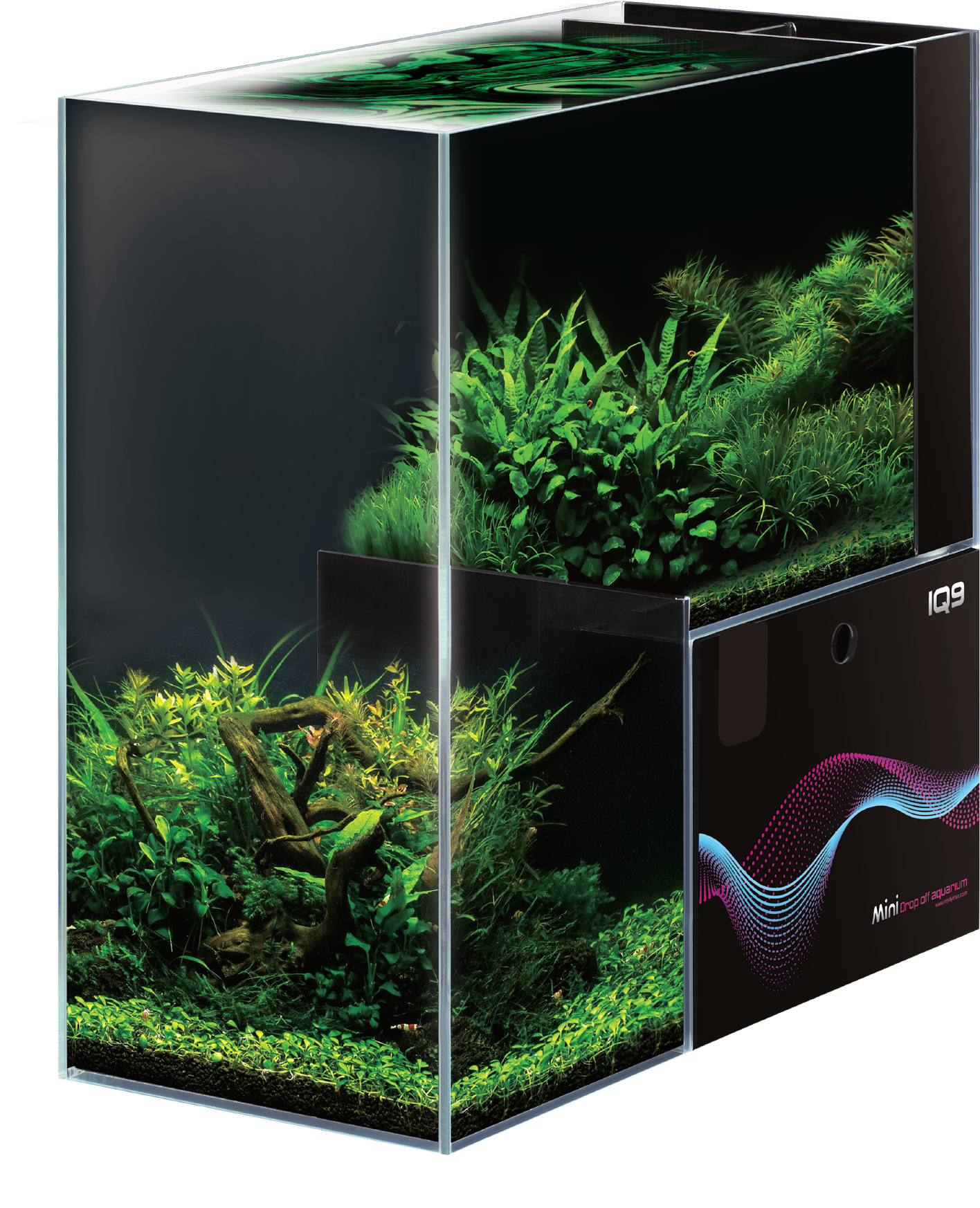 Planted Aquarium Cube Design PNG Image