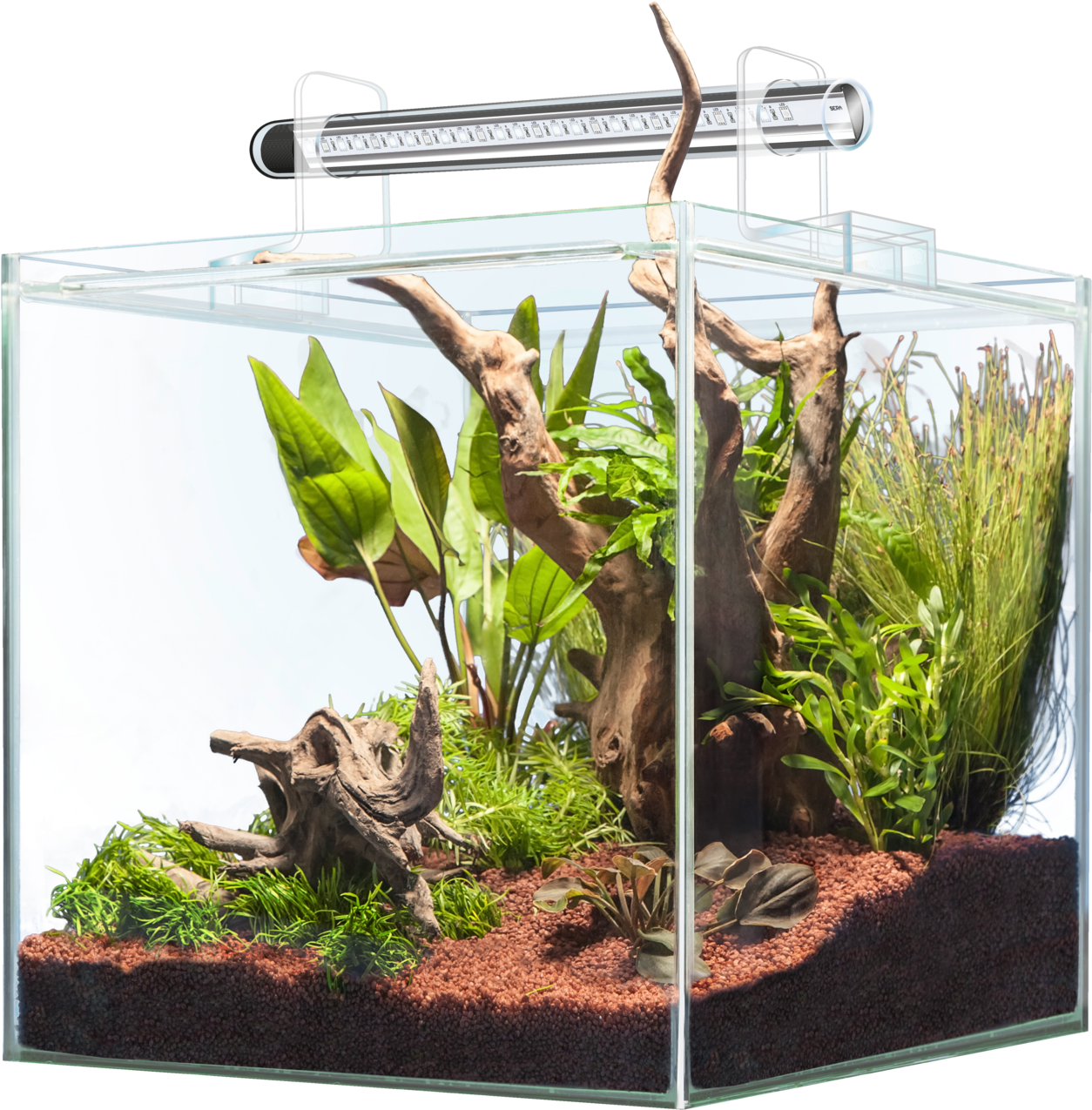 Planted Aquarium Setup PNG Image