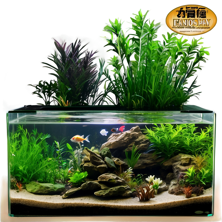 Planted Fish Tank Png Ira87 PNG Image