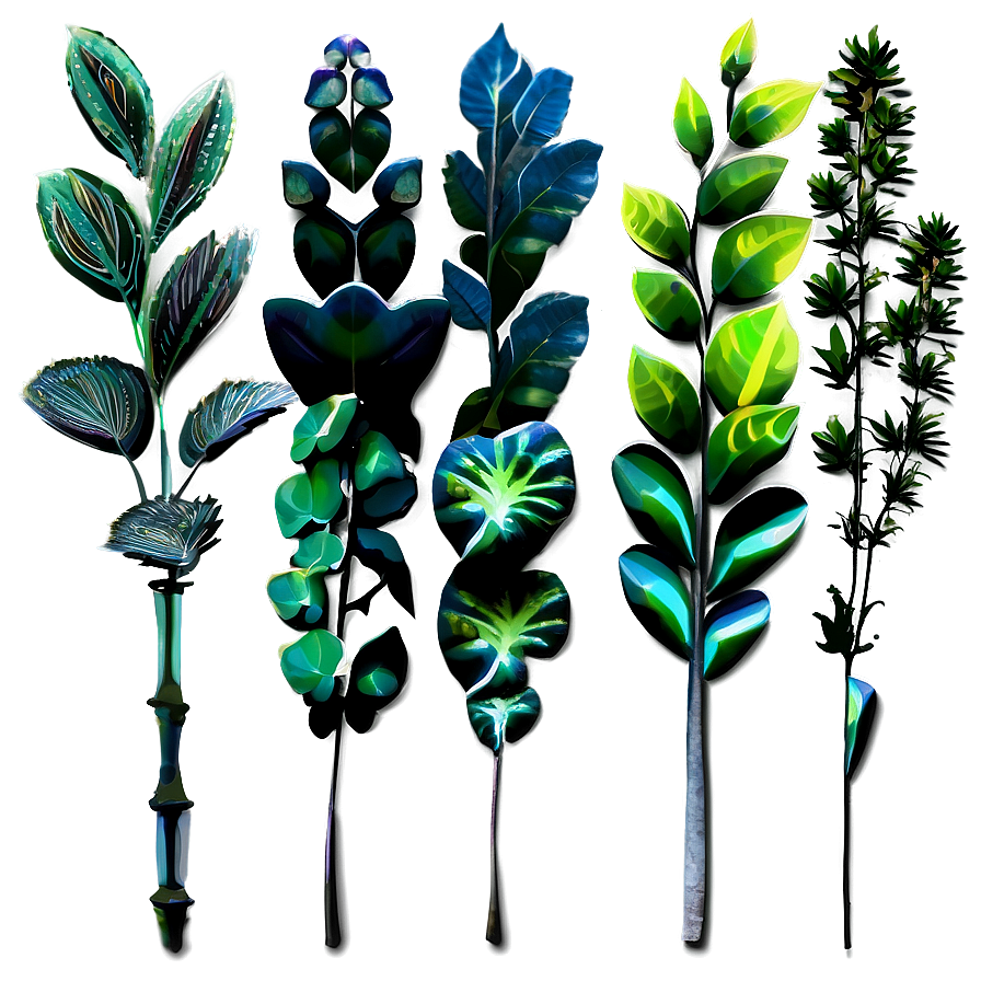 Plants C PNG Image