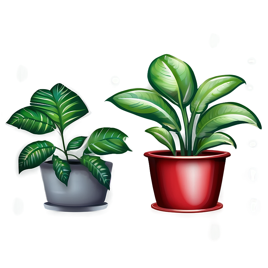 Plants D PNG Image