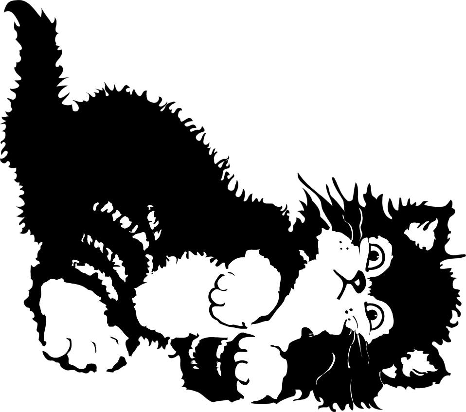 Playful Blackand White Cat Illustration PNG Image