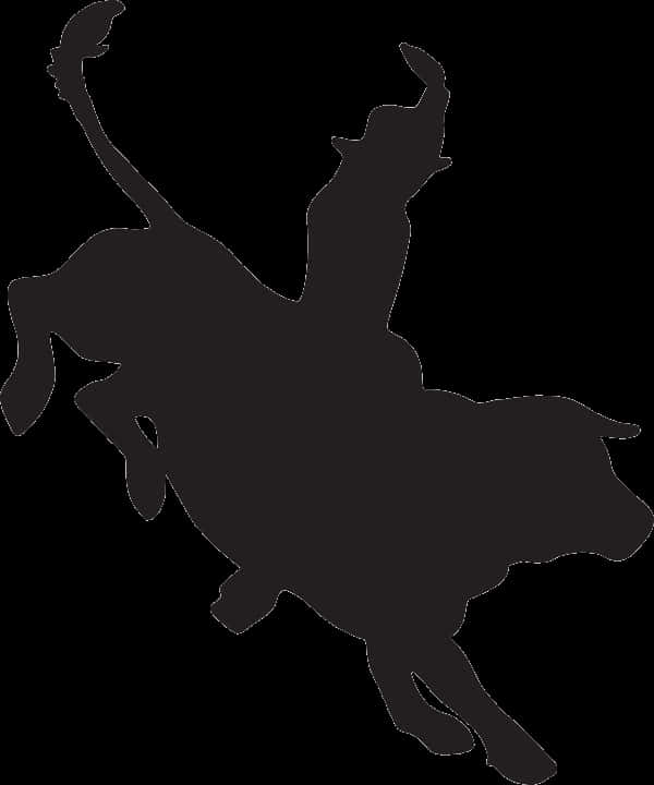 Playful Cat Silhouette PNG Image