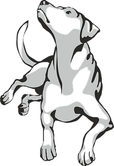 Playful Dalmatian Vector Art PNG Image