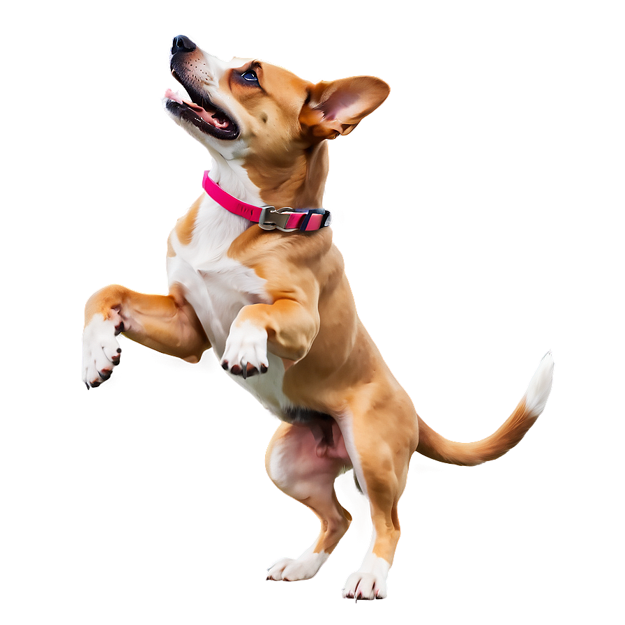 Playful Dog Png Udr PNG Image