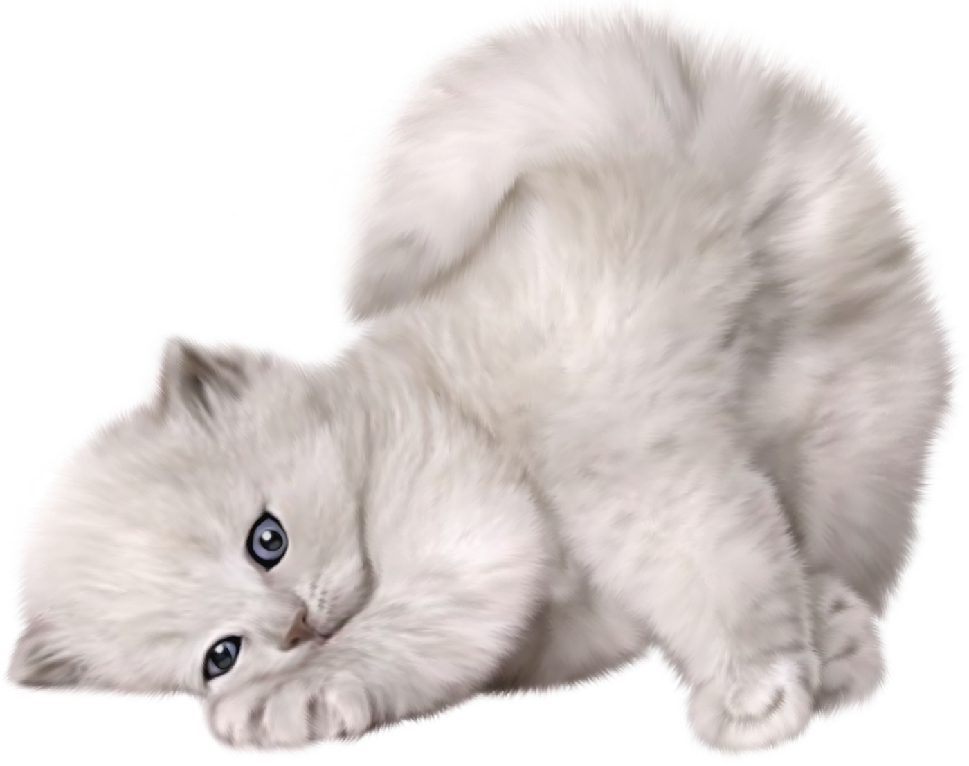 Playful White Kitten Lying Down PNG Image