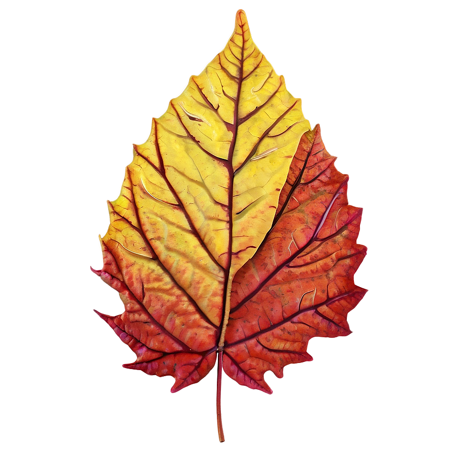 Plentiful Fall Leaves Png Txh PNG Image