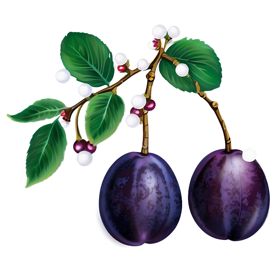 Plum Collection Png Bie70 PNG Image