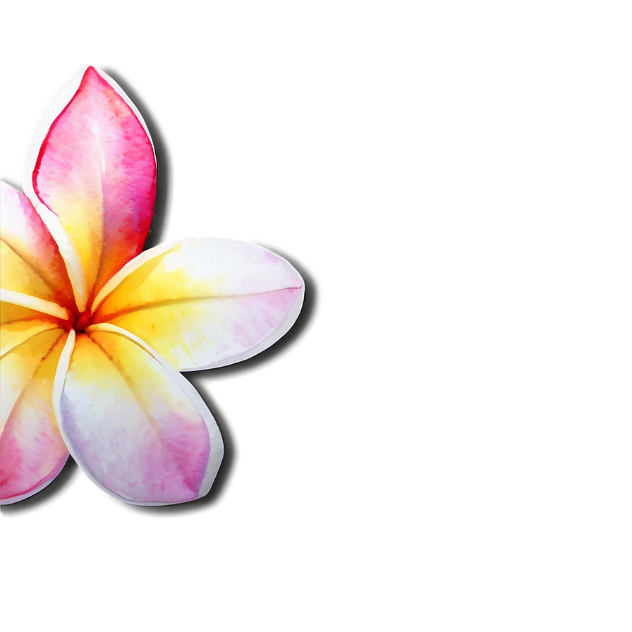 Plumeria Watercolor Png Xsw68 PNG Image