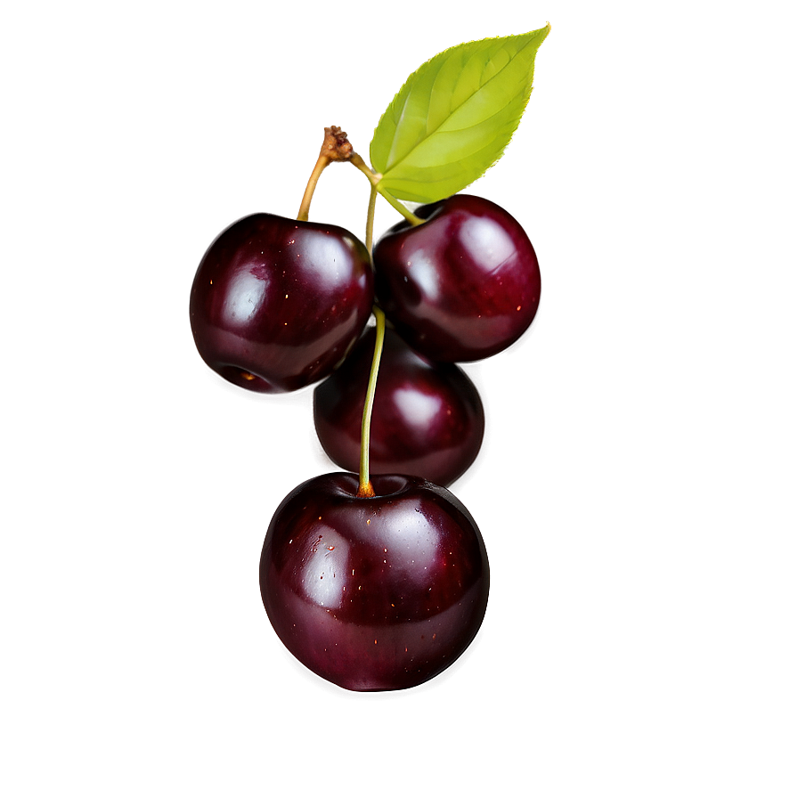 Plump Black Cherry Png Eln3 PNG Image