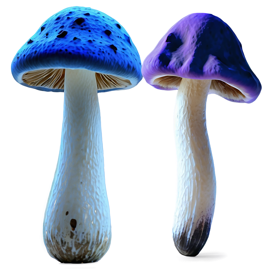 Poisonous Mushrooms Png 81 PNG Image