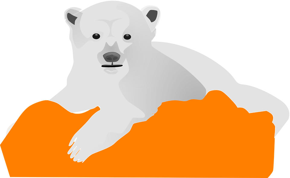 Polar Bear Graphicon Orange Background PNG Image