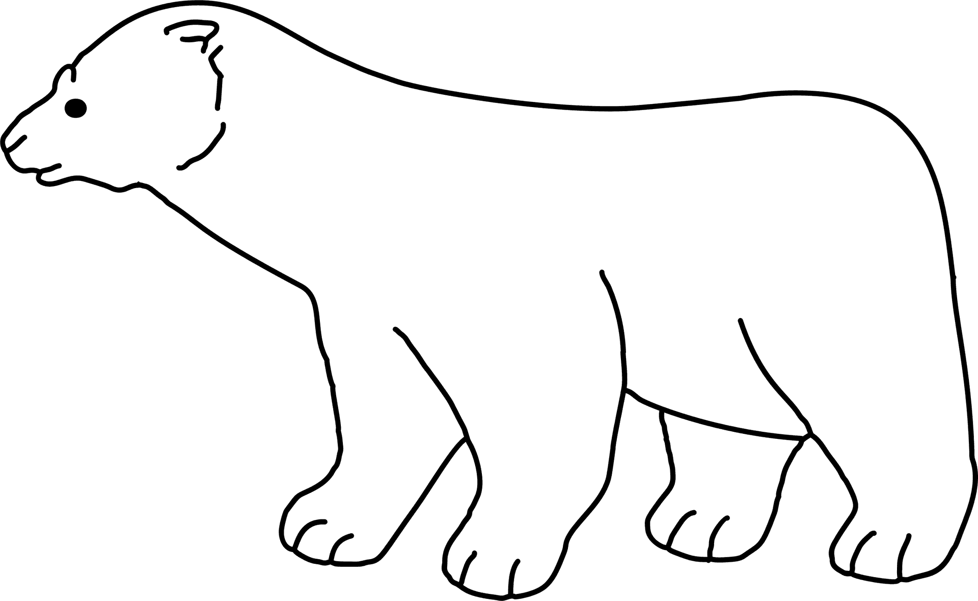 Polar Bear Line Art PNG Image