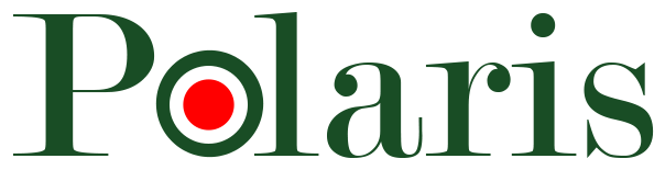 Polaris Brand Logo PNG Image