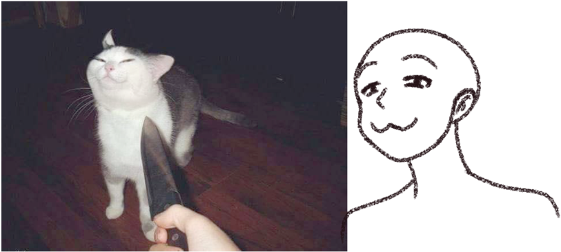 Polite Cat Memeand Drawing PNG Image