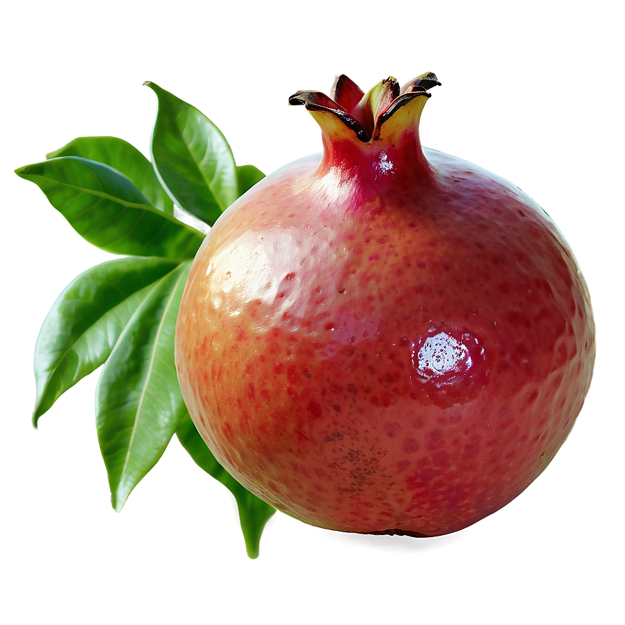 Pomegranate Isolated On White Png Nnh77 PNG Image