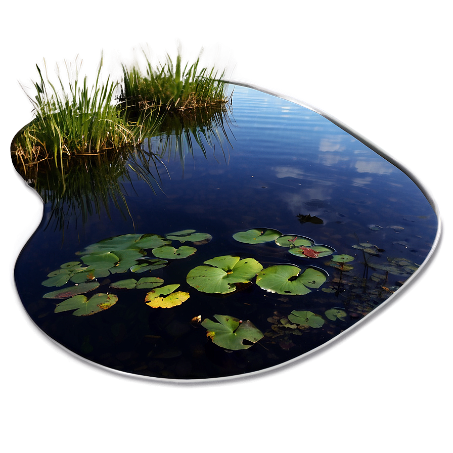 Pond Reflections Art Png Kwn PNG Image